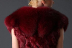 16-040June lamb fur vest with fox fur collar  (7)