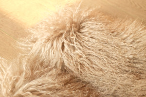 1703155 Mongolia sheep fur vest eileenhou ailin fur (11)